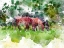 Picture of GRAZING III