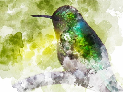 Picture of HUMMING BIRD