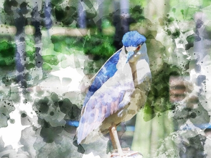 Picture of BLUE BIRD II 