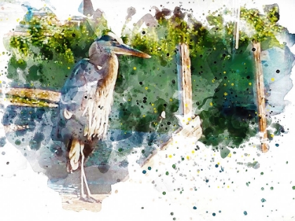 Picture of HERON