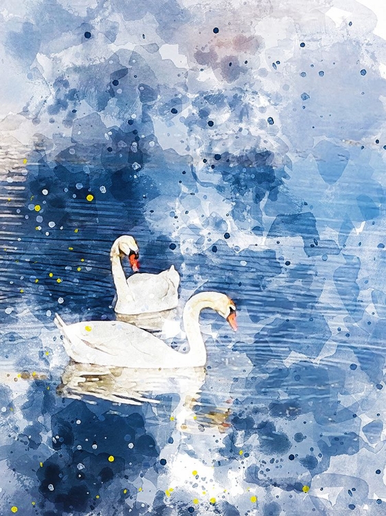 Picture of SWANS II