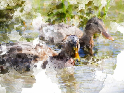 Picture of DUCKS IN FLOAT I