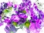 Picture of FLORAL IN BLOOM X