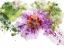 Picture of FLORAL IN BLOOM XI