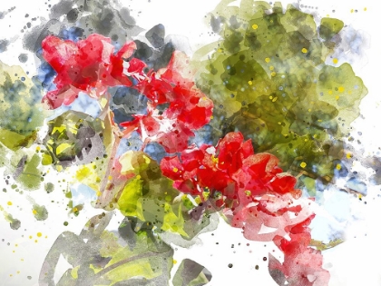 Picture of FLORAL IN BLOOM XIV