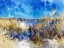 Picture of PHRAGMITES II