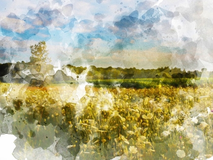 Picture of YELLOW MEADOW