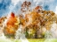 Picture of LEAVES OF AUTUMN