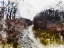 Picture of DARK STREAM