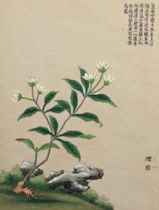 Picture of ORIENTAL FLOWER I