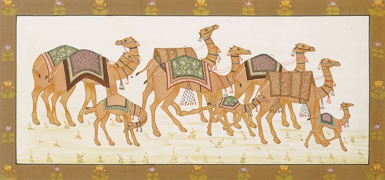 Picture of CAMELS PANEL