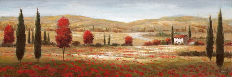 Picture of TUSCAN POPPIES I