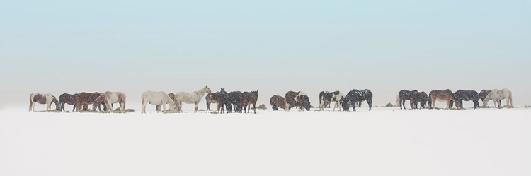 Picture of BIG SKY COUNTRY