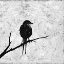 Picture of BIRD SILHOUETTE I