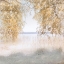 Picture of FRIENDLY LAKE
