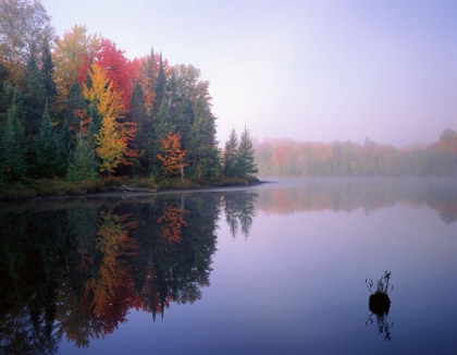 Picture of FOGGY MORNING SUNRISE