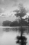 Picture of COASTAL OAK SERIES NO. 34