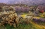 Picture of DESERT CACTUS AND WILDFLOWERS