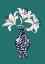 Picture of LILY ON TEAL