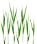 Picture of GRASS HILLSDALE