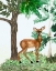 Picture of DOE A DEER