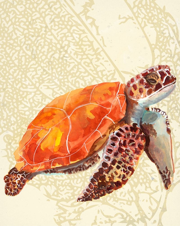 Picture of TURTLE