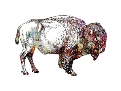 Picture of RUSTIC BISON 5