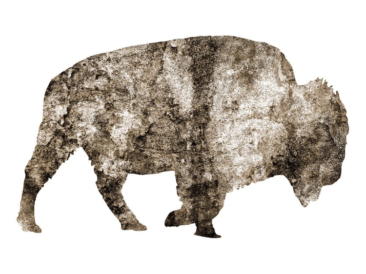 Picture of RUSTIC BISON 8