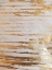 Picture of GOLDEN CREATION 2