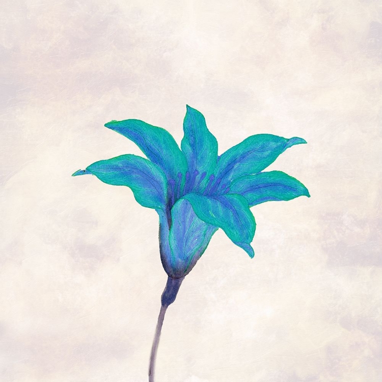 Picture of SIMPLY AQUA BLOOM 2