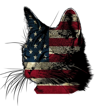 Picture of AMERICAN CAT 2