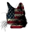 Picture of AMERICAN CAT 2