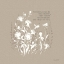 Picture of AU NATUREL VII ON BEIGE