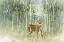 Picture of NATURES CALL I