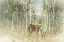 Picture of NATURES CALL I NEUTRAL