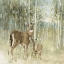 Picture of NATURES CALL II NEUTRAL