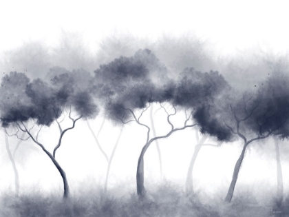 Picture of MISTY BLUE FOREST TREES