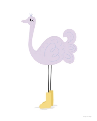 Picture of OSTRICH