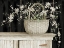 Picture of APPLE BLOSSOM BEAUTY II