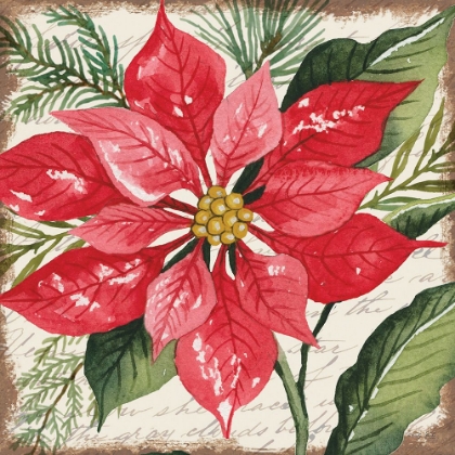 Picture of RED POINSETTIA BOTANICAL