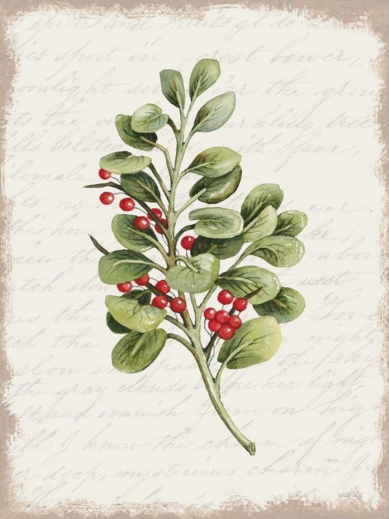 Picture of BERRIES CHRISTMAS BOTANICAL