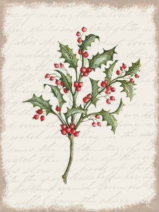 Picture of HOLLY CHRISTMAS BOTANICAL