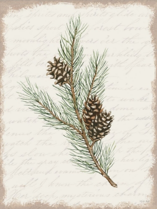 Picture of PINE CONE BOTANICAL II
