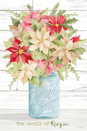 Picture of THE THRILL OF HOPE POINSETTIAS