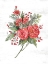 Picture of ROSE CHRISTMAS BOTANICAL