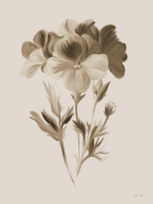 Picture of SEPIA BOTANICAL I    