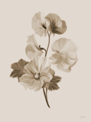 Picture of SEPIA BOTANICAL II    