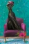 Picture of ADO ANNIE    