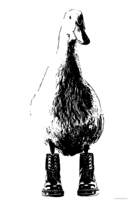 Picture of DUCK IN DOCS