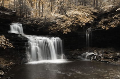 Picture of GOLDEN WATERFALL I